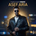 دانلود آهنگ آصف آریا خوابتو دیدم (کنسرت ورژن) - 