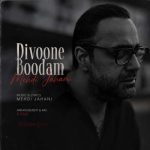 دانلود آهنگ مهدی جهانی دیوونه بودم - 