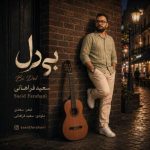دانلود آهنگ سعید فراهانی بی دل - 