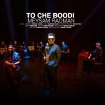 دانلود آهنگ میثم رادمان تو چه بودی - 