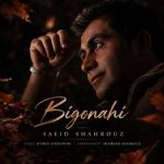 دانلود آهنگ سعید شهروز بی گناهی - 